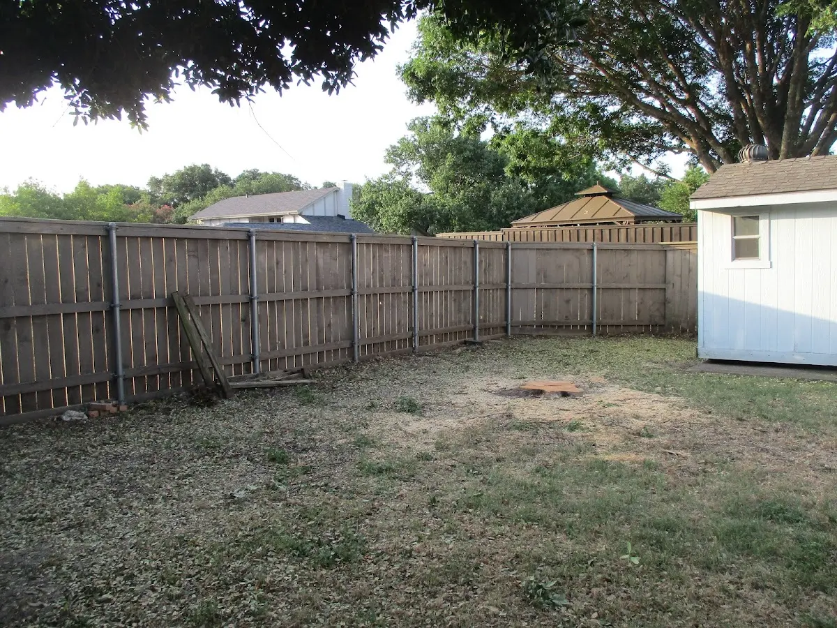 Cleared yard after professional tree removal in Tiptonville